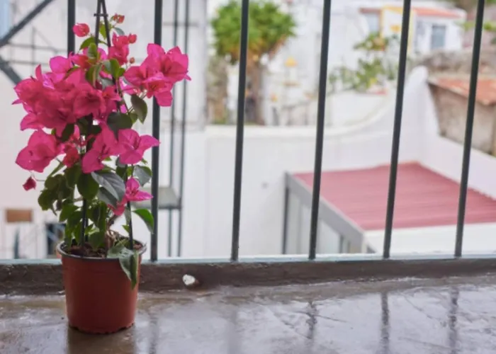 Entire Flat Great View Alcantara Daire